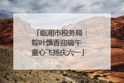 临湘市税务局：粽叶飘香迎端午 童心飞扬庆六一
