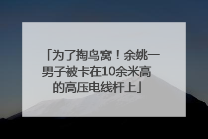 为了掏鸟窝！余姚一男子被卡在10余米高的高压电线杆上