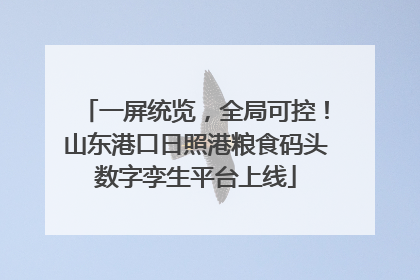 一屏统览，全局可控！山东港口日照港粮食码头数字孪生平台上线