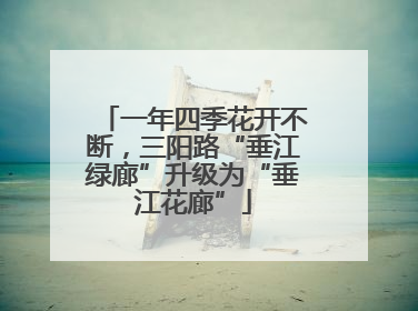 一年四季花开不断，三阳路“垂江绿廊”升级为“垂江花廊”