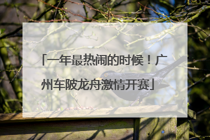 一年最热闹的时候！广州车陂龙舟激情开赛