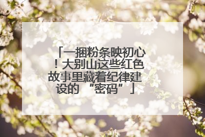 一捆粉条映初心！大别山这些红色故事里藏着纪律建设的 “密码”