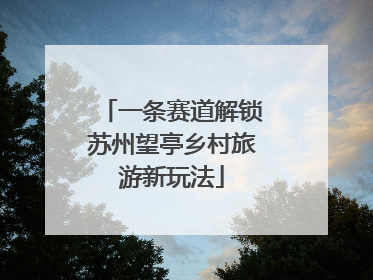 一条赛道解锁苏州望亭乡村旅游新玩法
