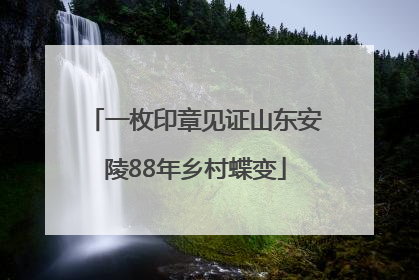 一枚印章见证山东安陵88年乡村蝶变