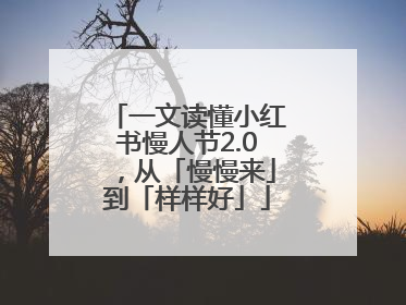 一文读懂小红书慢人节2.0，从「慢慢来」到「样样好」