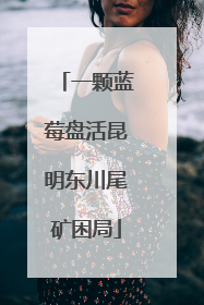 一颗蓝莓盘活昆明东川尾矿困局