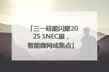 三一硅能闪耀2025 SNEC展，智能微网成焦点