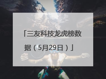 三友科技龙虎榜数据（5月29日）