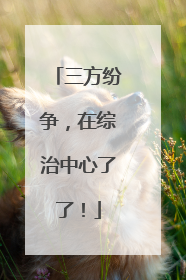 三方纷争，在综治中心了了！