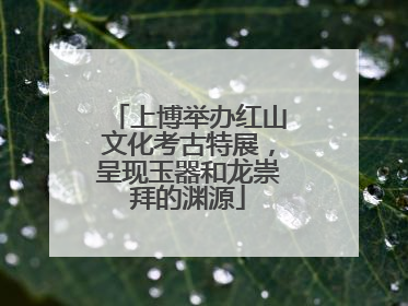 上博举办红山文化考古特展，呈现玉器和龙崇拜的渊源