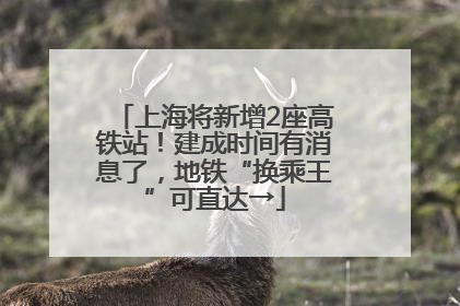 上海将新增2座高铁站！建成时间有消息了，地铁“换乘王”可直达→