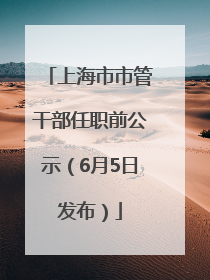 上海市市管干部任职前公示（6月5日发布）