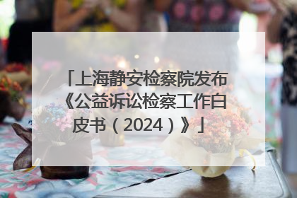 上海静安检察院发布《公益诉讼检察工作白皮书（2024）》