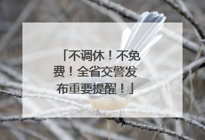 不调休！不免费！全省交警发布重要提醒！
