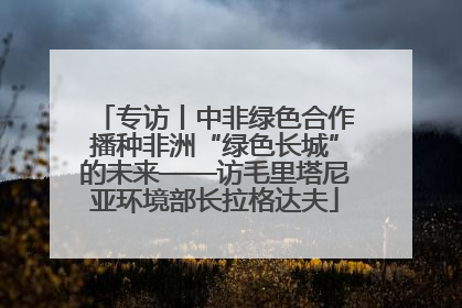 专访丨中非绿色合作播种非洲“绿色长城”的未来——访毛里塔尼亚环境部长拉格达夫