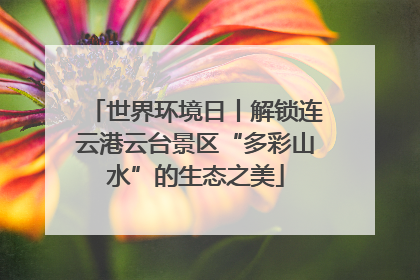 世界环境日丨解锁连云港云台景区“多彩山水”的生态之美