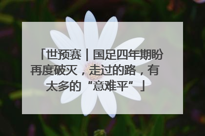 世预赛｜国足四年期盼再度破灭，走过的路，有太多的“意难平”