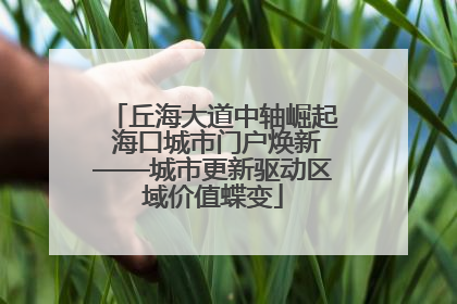 丘海大道中轴崛起 海口城市门户焕新——城市更新驱动区域价值蝶变