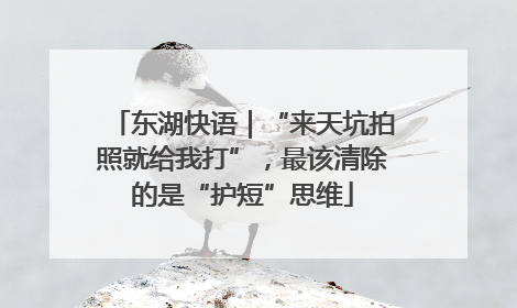 东湖快语｜“来天坑拍照就给我打”，最该清除的是“护短”思维