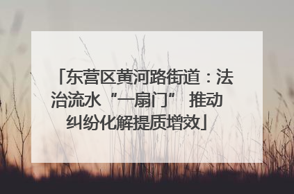 东营区黄河路街道：法治流水“一扇门” 推动纠纷化解提质增效