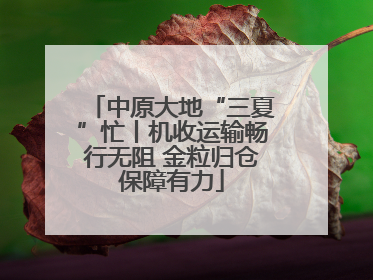 中原大地“三夏”忙丨机收运输畅行无阻 金粒归仓保障有力