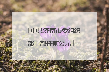 中共济南市委组织部干部任前公示