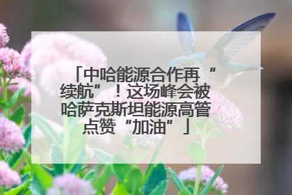 中哈能源合作再“续航”！这场峰会被哈萨克斯坦能源高管点赞“加油”