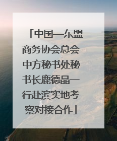 中国—东盟商务协会总会中方秘书处秘书长鹿德晶一行赴滨实地考察对接合作