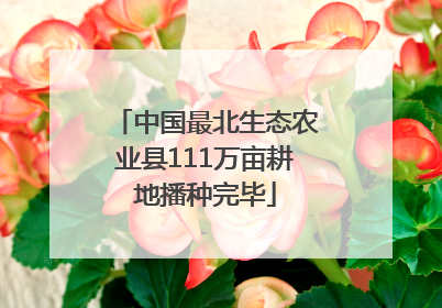 中国最北生态农业县111万亩耕地播种完毕