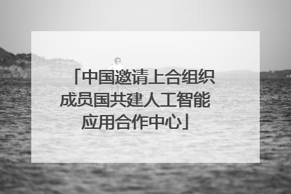 中国邀请上合组织成员国共建人工智能应用合作中心