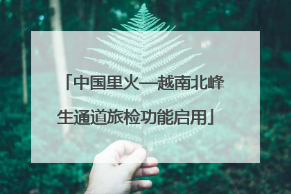 中国里火—越南北峰生通道旅检功能启用
