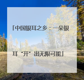 中国银耳之乡：一朵银耳“开”出无限可能
