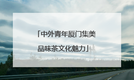 中外青年厦门集美品味茶文化魅力