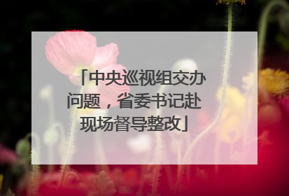 中央巡视组交办问题，省委书记赴现场督导整改