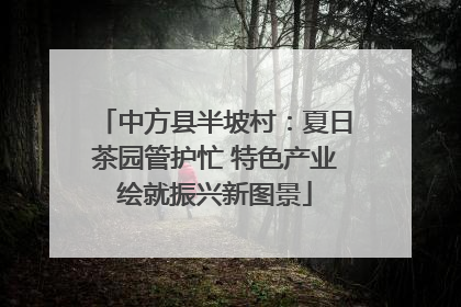 中方县半坡村：夏日茶园管护忙 特色产业绘就振兴新图景
