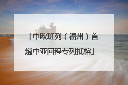 中欧班列（福州）首趟中亚回程专列抵榕