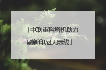 中联重科塔机助力刷新印尼天际线