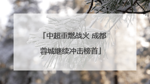 中超重燃战火 成都蓉城继续冲击榜首