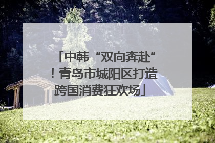 中韩“双向奔赴”！青岛市城阳区打造跨国消费狂欢场