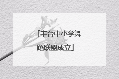 丰台中小学舞蹈联盟成立