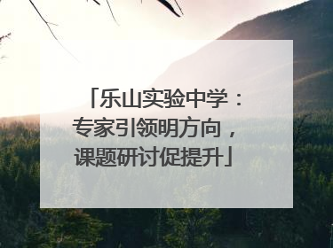 乐山实验中学：专家引领明方向，课题研讨促提升