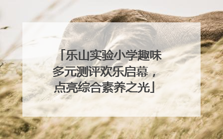 乐山实验小学趣味多元测评欢乐启幕，点亮综合素养之光