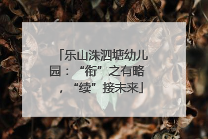 乐山洙泗塘幼儿园：“衔”之有略，“续”接未来