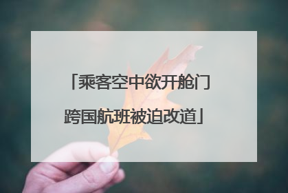 乘客空中欲开舱门 跨国航班被迫改道