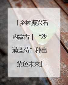 乡村振兴看内蒙古｜“沙漠蓝莓”种出紫色未来