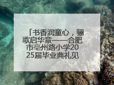 书香润童心，骊歌启华章——合肥市亳州路小学2025届毕业典礼见证成长时刻