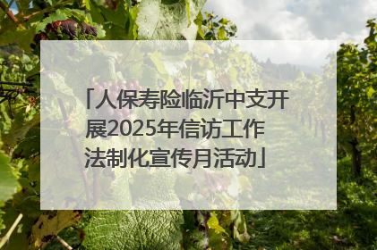 人保寿险临沂中支开展2025年信访工作法制化宣传月活动