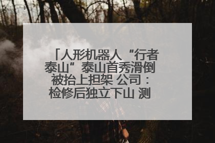 人形机器人“行者泰山”泰山首秀滑倒被抬上担架 公司：检修后独立下山 测试就是为暴露问题