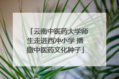 云南中医药大学师生走进西冲小学 播撒中医药文化种子