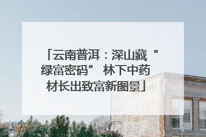 云南普洱：深山藏“绿富密码” 林下中药材长出致富新图景